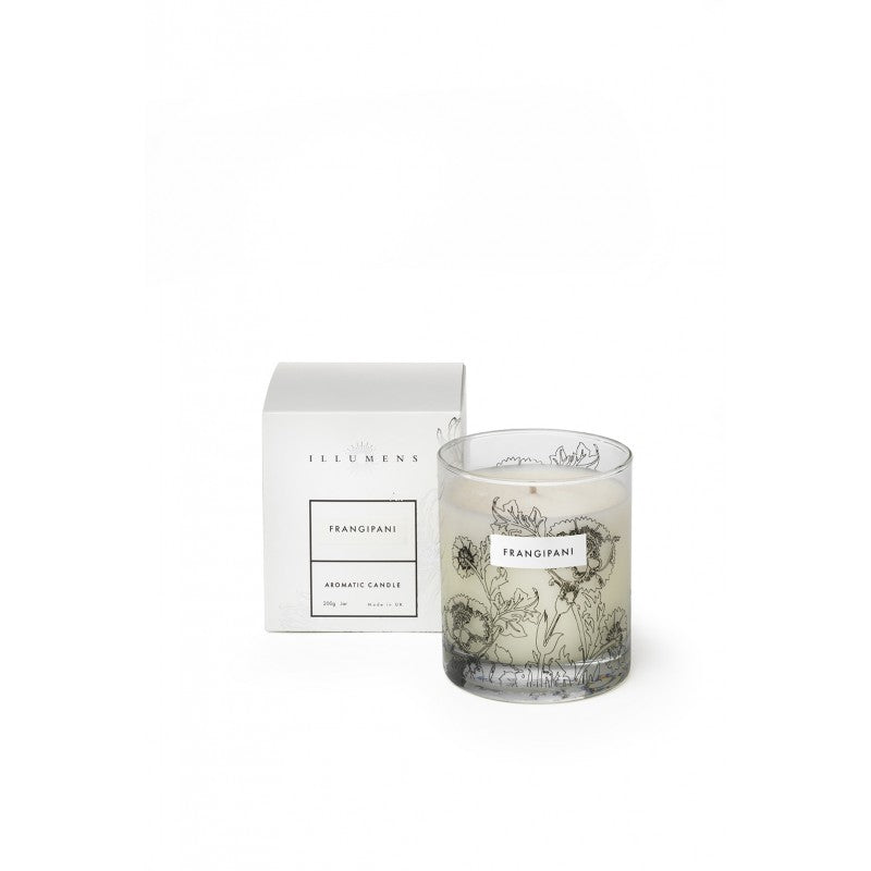 Illumens Frangipani Scented Candle